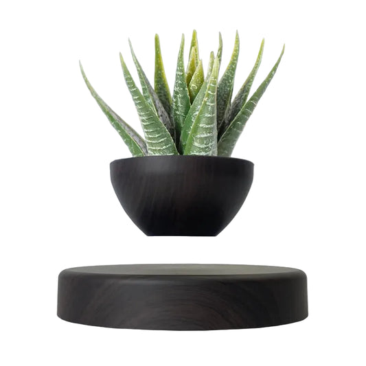 Potted Plant Home Desk Decor
